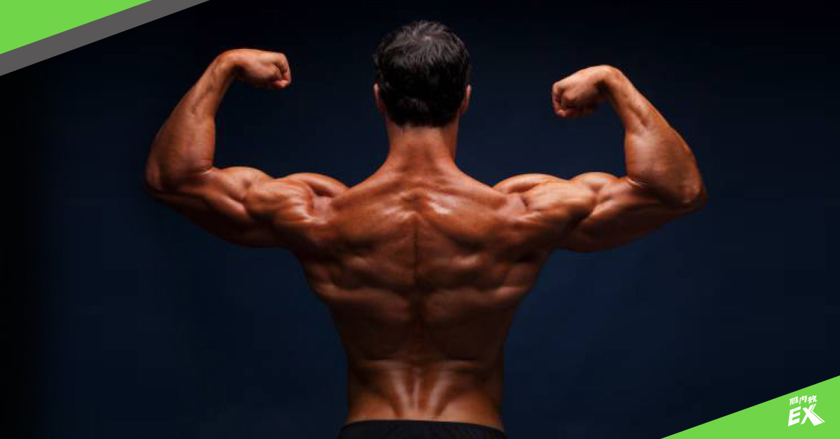 六個動作打造鐵背 下背痛GET OUT